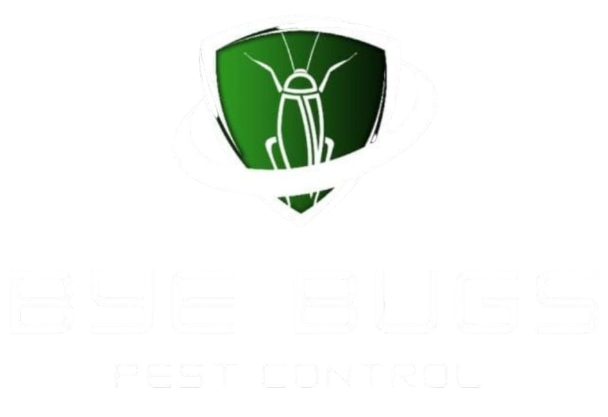 Screenshot_20250318-081116 (1) (1)